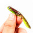 RubberBaits 3.1