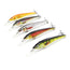 ProSeries Shallow Diving 3