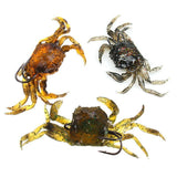 RubberBaits 3.9" Rigged Crab Soft Bait