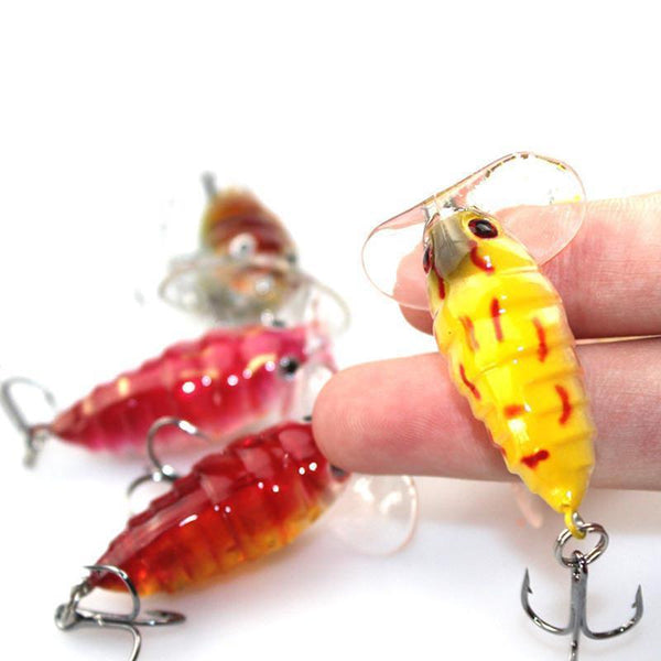 ProSeries 1.6" Cicada Popper