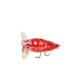 ProSeries 1.6" Cicada Popper