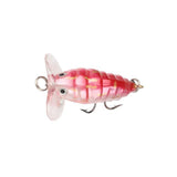 ProSeries 1.6" Cicada Popper
