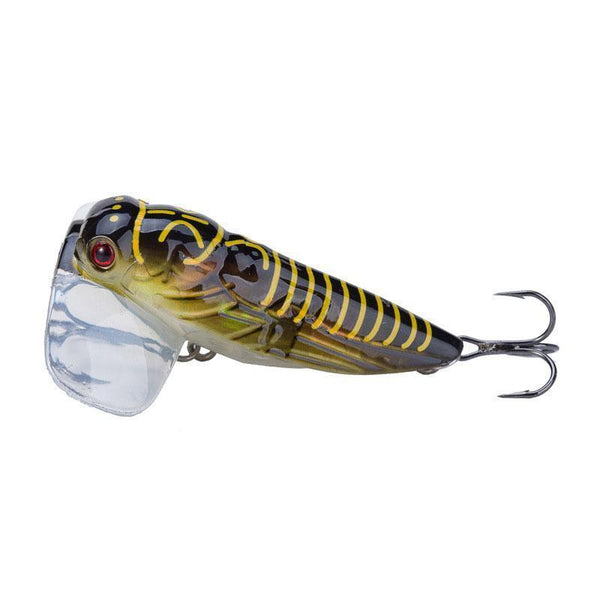 ProSeries 3 Cicada Topwater Popper (Watermill Wings) – RubberBaits