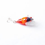 ProSeries 1.6" Cicada Popper