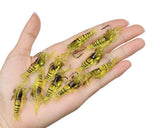 RubberBaits 1.6" Shrimp Soft Bait